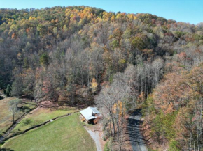 Wears Valley Cabin on 5 Acres, Hot Tub, Pets